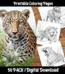 cheetah coloring pages by happy colorist