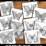 butterfly coloring pages by happy colorist
