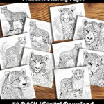 cheetah coloring pages by happy colorist