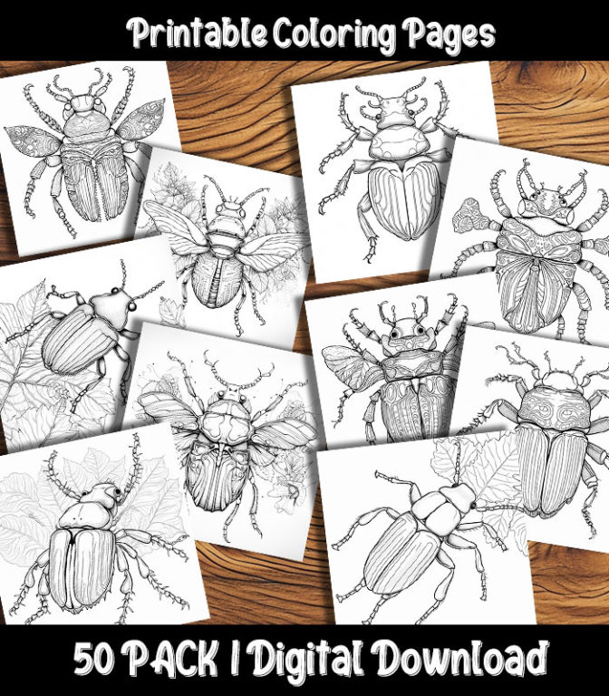 Beetle Coloring Pages Printable 50 Pack | Happy Colorist