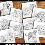 cheetah coloring pages by happy colorist