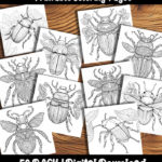 beetle coloring pages by Happy Colorist