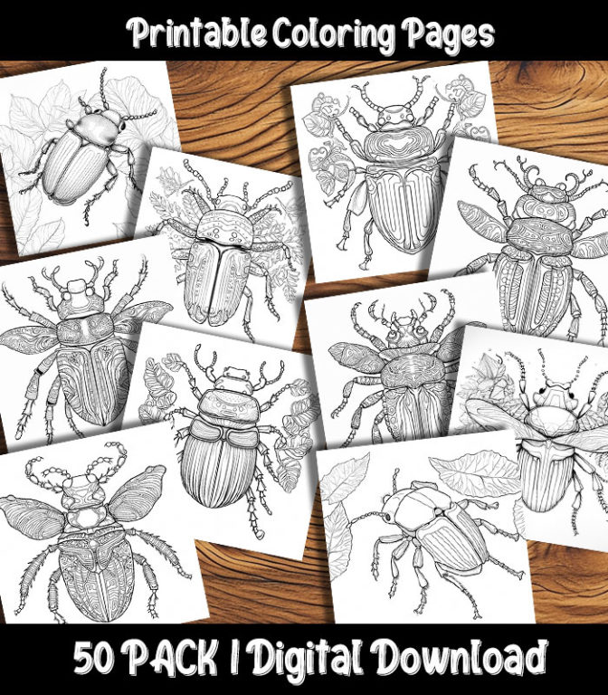 Beetle Coloring Pages Printable 50 Pack | Happy Colorist