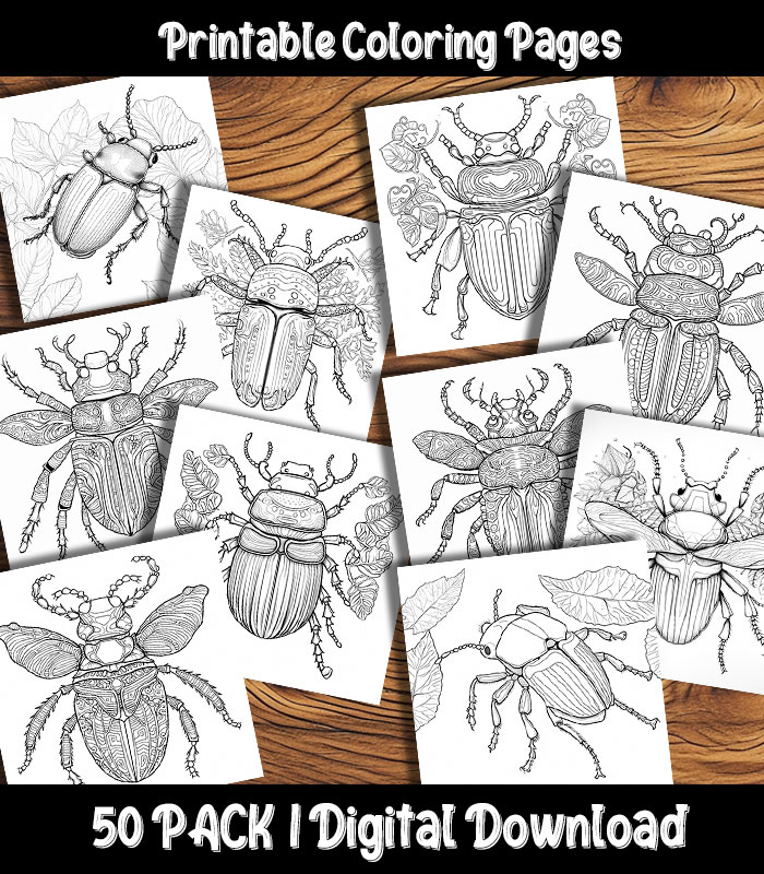 Beetle Coloring Pages Printable 50 Pack | Happy Colorist