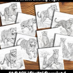 cheetah coloring pages by happy colorist