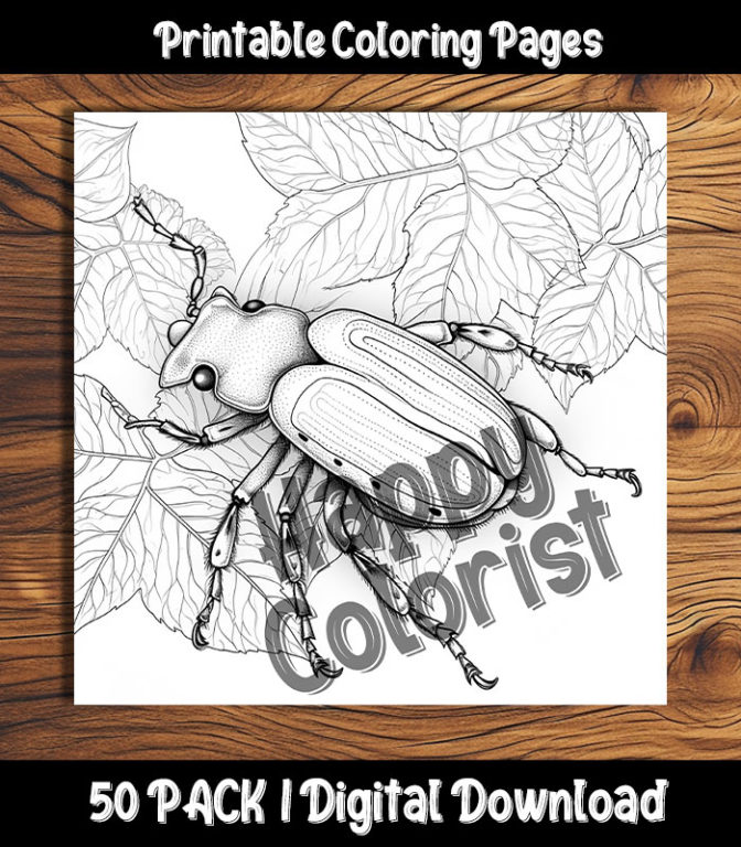 beetle coloring pages by Happy Colorist