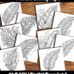feather coloring pages by happy colorist