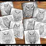 owl coloring pages by happy colorist