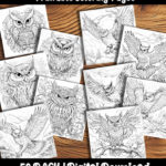 owl coloring pages by happy colorist