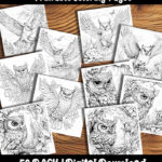 owl coloring pages by happy colorist