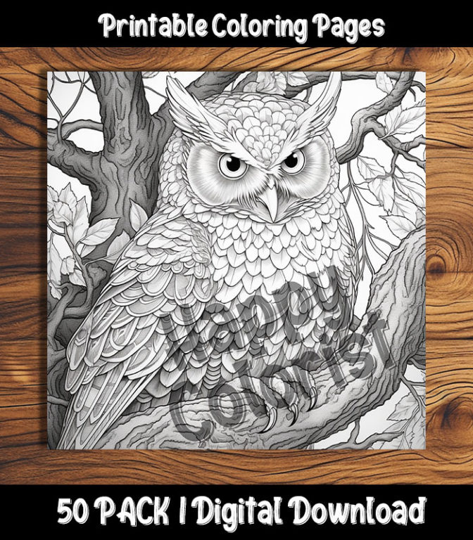 owl coloring pages by happy colorist