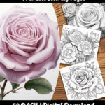 roses coloring pages by Happy Colorist