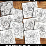 roses coloring pages by Happy Colorist