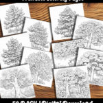 tree coloring pages by happy colorist