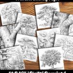 tree coloring pages by happy colorist