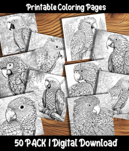 parrot coloring pages by happy colorist