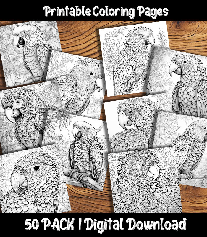 Ferret Coloring Book: A Cute Adult Coloring Book with Beautiful and Relaxing Ferret Designs, Mandalas, Flowers, Patterns and So Much More. for Ferr
