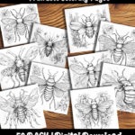insect coloring pages by happy colorist