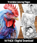 chicken and rooster coloring pages by happy colorist