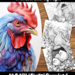 chicken and rooster coloring pages by happy colorist