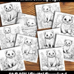 ferret coloring pages by happy colorist