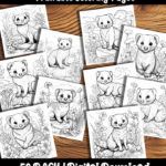 ferret coloring pages by happy colorist