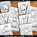 ferret coloring pages by happy colorist