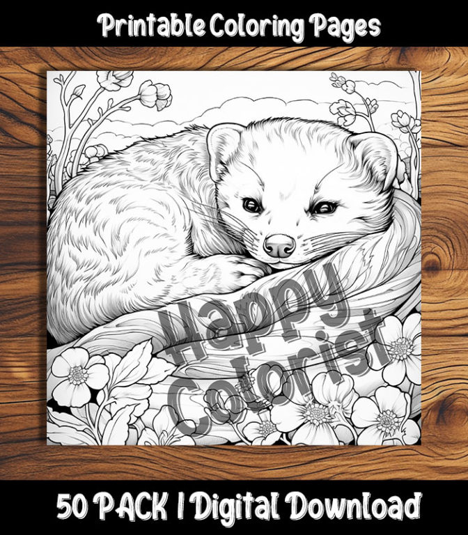 ferret coloring pages by happy colorist