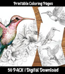 hummingbird coloring pages by happy colorist