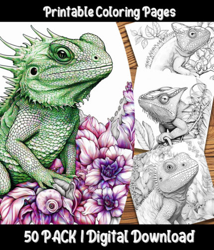lizard coloring pages by happy colorist