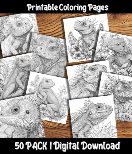 lizard coloring pages by happy colorist
