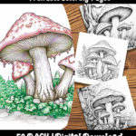 mushroom coloring pages by happy colorist