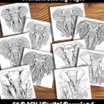 elephant coloring pages by happy colorist