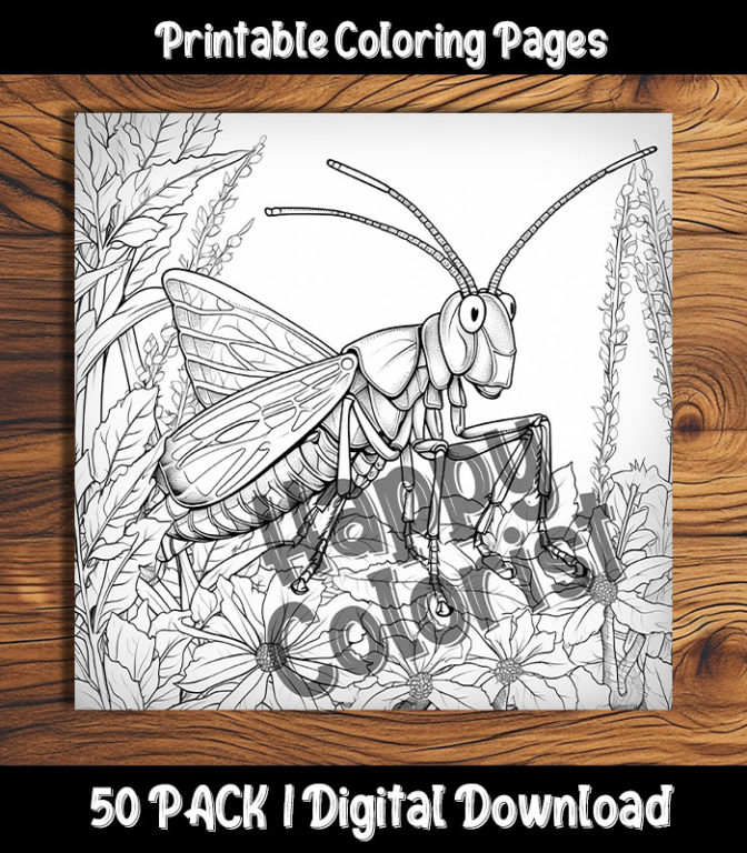 grasshopper coloring pages by happy colorist