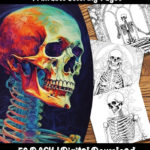 skeleton coloring pages by happy colorist