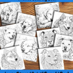 Pawsibilities Coloring Book by happy colorist