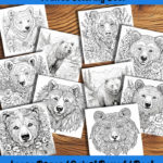 Bear Necessities coloring book by happy colorist