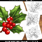 christmas holly coloring pages by happy colorist