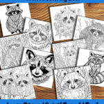 woodland bandits raccoon coloring book by happy colorist