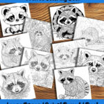 woodland bandits raccoon coloring book by happy colorist