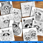 woodland bandits raccoon coloring book by happy colorist