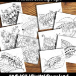 Caterpillar Coloring Pages