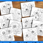 Petals of Valor Coloring Book by Happy Colorist