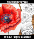 Remembrance Day Poppies coloring pages by Happy Colorist