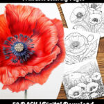 Remembrance Day Poppies coloring pages by Happy Colorist