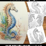 Printable Seahorse Coloring Sheets by Happy Colorist