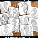 Printable Seahorse Coloring Sheets by Happy Colorist